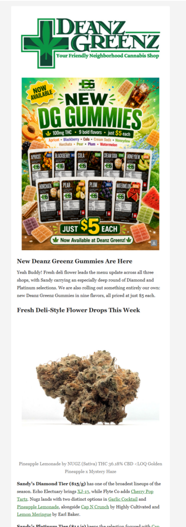 Customer newsletter screenshot